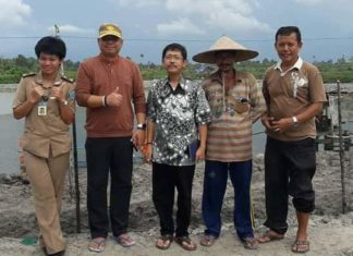 Pemkab Matra Genjot Industrialisasi Komoditas Udang Vaname