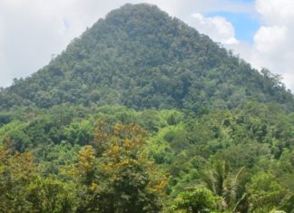 Ada Pintu Masuk Selamatkan Kabupaten Mamasa dari Akut Politik Uang