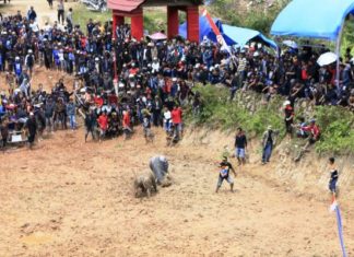 Ma’pasitanduk Tedong, Acara Rambu Solok Keluarga Yuliana To’tuan