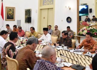 Semua Pihak Siap Terapkan OSS, Ini Permintaan Presiden
