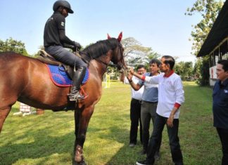 Wawancara Khusus Presiden Jokowi Tentang Persiapan Asian Games 2018
