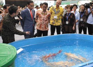 Presiden Apresiasi Perkembangan Peternakan di Tanah Air