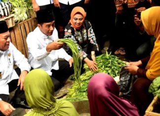 Presiden Jokowi Blusukan di Pasar Sidoharjo Lamongan