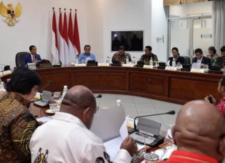 Presiden Minta Divestasi Freeport Dituntaskan Tahun ini