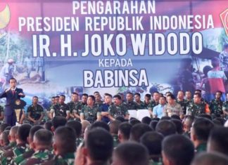 Presiden Apresiasi Kerja Nyata Babinsa