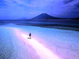 Meko, Pasir Timbul di Tengah Laut Flotim, Sebuah Destinasi Idaman Anda