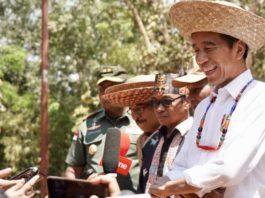 Kunjungi ‘Kawasan Segitiga Emas’ Kalteng, Presiden Tinjau Lokasi Calon Ibu Kota
