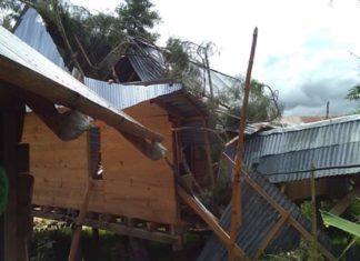 Akibat Angin Kencang, Sebuah Rumah Warga di Mamasa Tertimpa Pohon