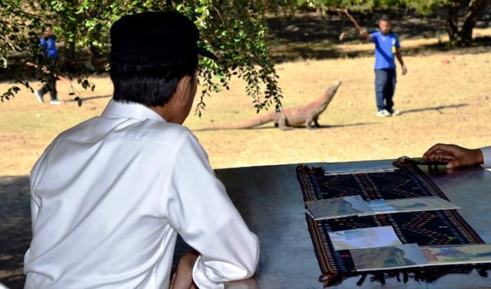 Pulau Komodo 1