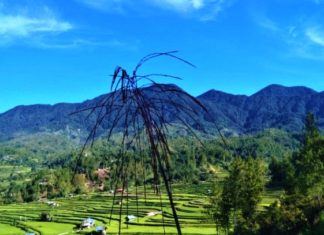 Surga Kecil di Kaki Gunung Mambulilling Mamasa