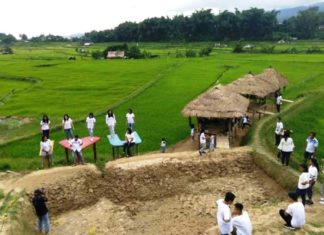 Lagi Hits di Mamasa, Wisata Sawah Berpadu dengan Taman Anggrek