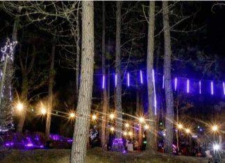 Pemuda Mamasa Sulap Kawasan Pinus Jadi Objek Wisata