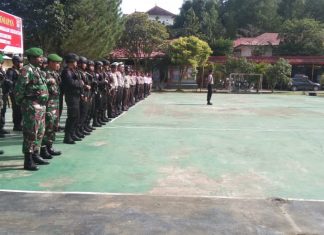 Oikumene di Mamasa: Terbesar dengan 10 Ribu Pohon Natal Tanpa Promosi