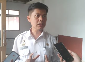 Tahun Ini Pemda Mamasa Akan Rekrut CPNS