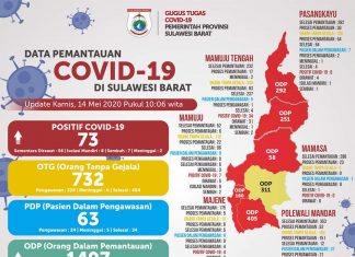 Terkini, Data Pergerakan Jumlah Pasien Covid-19 di Sulawesi Barat