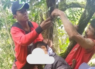 Diduga Kades Buangin Rantim Gantung Diri di Pohon