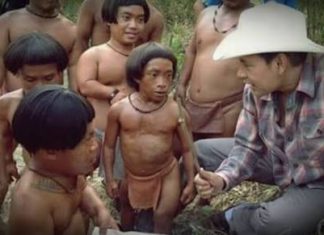 Kabupaten Mamasa Darurat Stunting