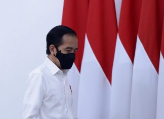 Presiden: Kalkulasi Matang Pengembangan Lumbung Pangan Baru