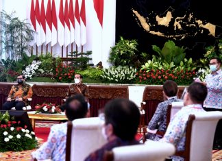 Presiden: BKKBN Pegang Kendali Pencegahan Stunting