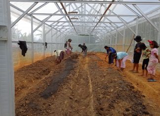 Tondok Bakaru: Desa Wisata Bertabur Anggrek dan Tomat Organik