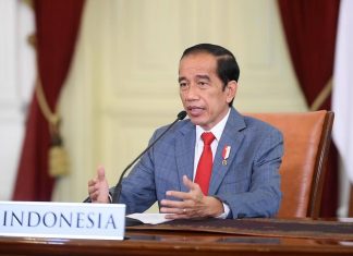 Presiden Jokowi Sampaikan Tiga Pemikiran di KTT Perubahan Iklim