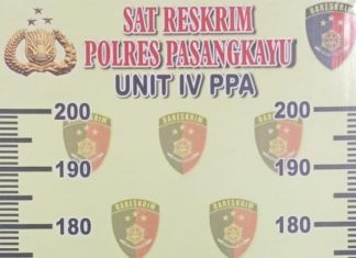 Seorang Ayah di Pasangkayu Diduga Setubuhi Anak Tirinya