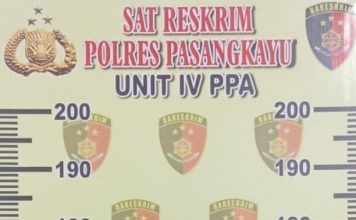 Seorang Ayah di Pasangkayu Diduga Setubuhi Anak Tirinya