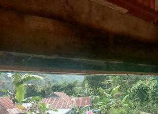 Vaksinasi Massal di Bambang Timur, Kabupaten Mamasa