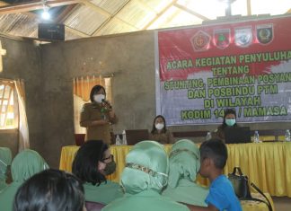 Hari ke-13 TMMD Mamasa: Penyuluhan Stunting dan Pembinaan Posyandu – Posbindu