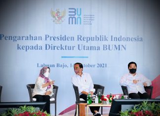 Profesionalisme di BUMN adalah Keharusan