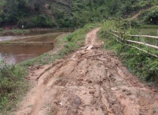Proyek Jalan DAK Rp7,1 M di Mambi, antara Berkah dan Protes