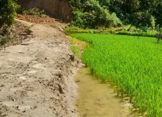 Jalan Tani Tapalinna Digugat, Dugaan Serobot Lahan Dipolisikan
