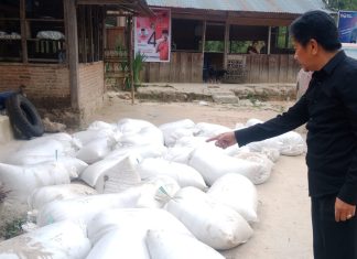 Petani Penyadap Getah Pinus akan Terus Kerjasama PT KHBL di Mamasa