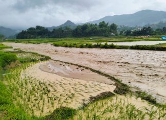 Tanggap Bersama Banjir Nosu, Warga Terdampak Butuh Makanan, Obat, dan Air Bersih