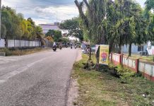 Rencana Pelebaran di Ruas Jalan Tumbu, Topoyo, dan Budong-budong