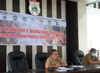 Harga Baru Buah Sawit di Sulbar Naik 9 Rupiah