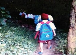 Suka Cita Guru Pendongeng dengan Penerang Lampu Pelita, Juara III di Indonesia