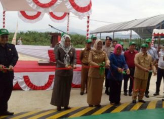 Aras Tammauni: Tobadak, Saya Lihat Mirip Thailand