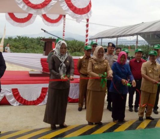 Aras Tammauni: Tobadak, Saya Lihat Mirip Thailand