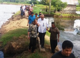 Wantimpres Sarankan Petambak Buat Koperasi