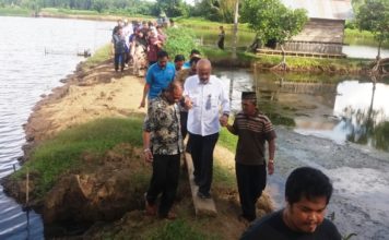 Wantimpres Sarankan Petambak Buat Koperasi