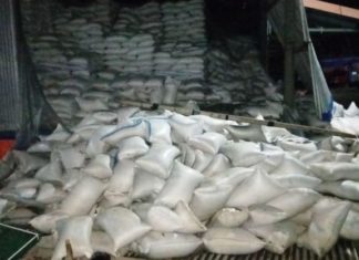 Ratusan Karung Beras Rastra Rusak di Gudang Bulog Sub Divre Mamuju