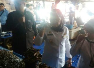 Enny dan Netty Sidak Bahan Makanan di Pasar Baru dan Pasar Lama Mamuju