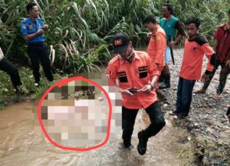 Terseret Arus Sungai Sanjango, Mayat Marjono Ditemukan