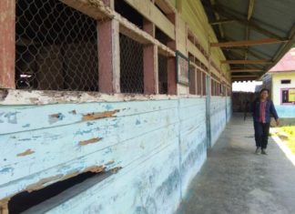 Bangunan SDN Pulo Kambunong Mateng Sudah Nyaris Hancur