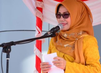 Peringati Hari Ibu ke-90 dan HUT Dharma Wanita Persatuan ke-19 di Mateng