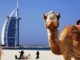 Gubernur Sulbar akan Ajak 4 Kepala OPD Berangkat ke Dubai, Uni Emirat Arab