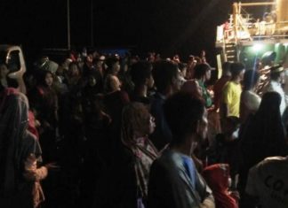 70-an Penumpang Kapal Terlantar di Pelabuhan Babana, Agen Abd. Hamid: Kami di Sini Malu