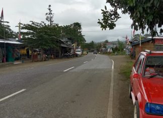 Virus Corona Belum Sembuh, HUT RI ke-75 Digelar Tak Semarak