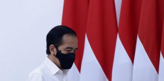 Presiden: Kalkulasi Matang Pengembangan Lumbung Pangan Baru